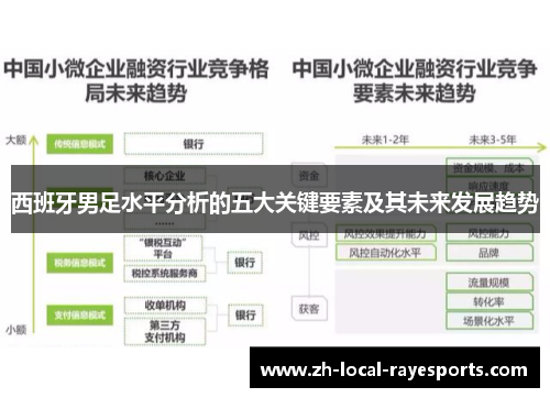 西班牙男足水平分析的五大关键要素及其未来发展趋势